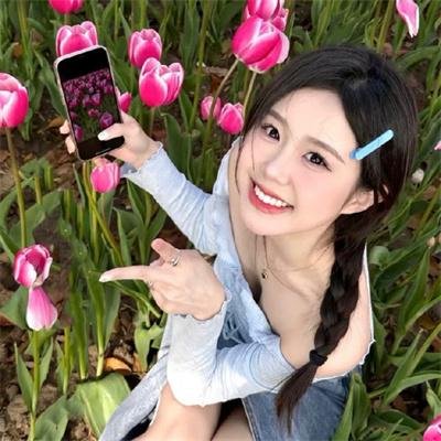 南极大冒险